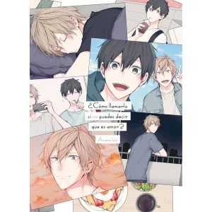 Manga Como Llamarlo si no puedes decir que es amor Tomo Único